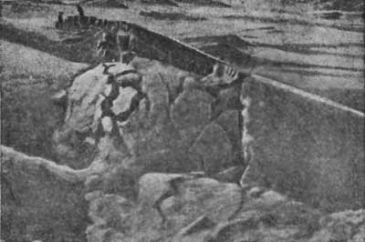 Великие катастрофы в истории Земли - i_026.jpg