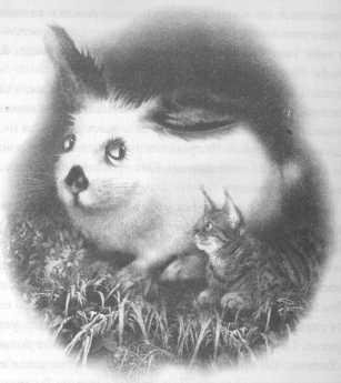 Все о непослушных принцессах и коварных драконах - img3_3.jpeg