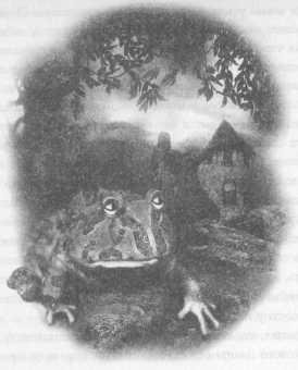 Все о непослушных принцессах и коварных драконах - img4_1.jpeg