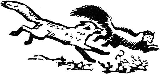 В долинах Рингваака [Рыжий Лис] - i_003.png