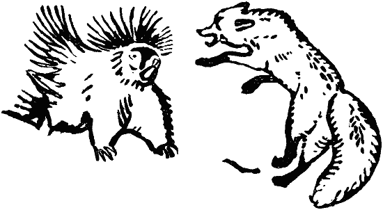 В долинах Рингваака [Рыжий Лис] - i_006.png