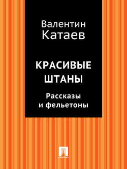 Читать онлайн книгу Два гусара автор Катаев Валентин Петрович Книга Два гусара