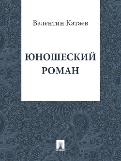 Книга Юношеский роман