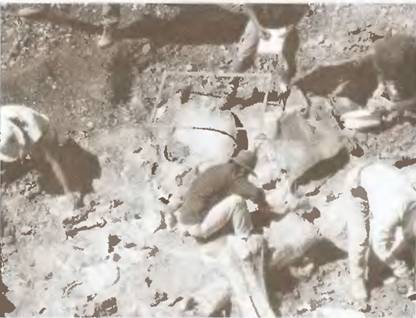 Истоки знания - pic_42.jpg