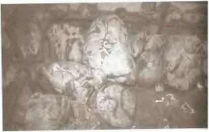 Истоки знания - pic_52.jpg