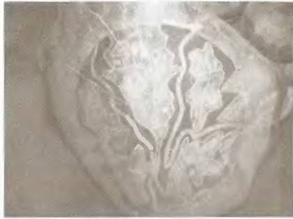 Истоки знания - pic_54.jpg