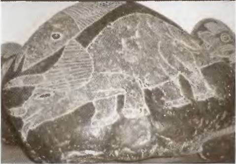 Истоки знания - pic_56.jpg