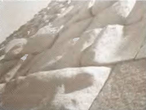 Истоки знания - pic_59.jpg