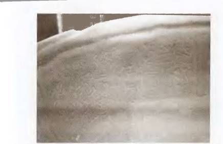 Истоки знания - pic_85.jpg