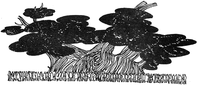 Планета чудес - i_014.png