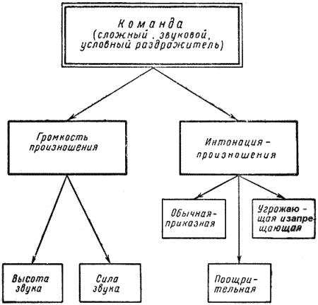 Служебная собака. Руководство по подготовке специалистов служебного собаководства - i_104.png