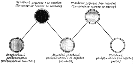 Служебная собака. Руководство по подготовке специалистов служебного собаководства - i_105.png