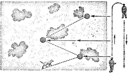 Служебная собака. Руководство по подготовке специалистов служебного собаководства - i_148.png