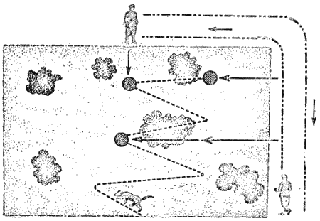Служебная собака. Руководство по подготовке специалистов служебного собаководства - i_149.png