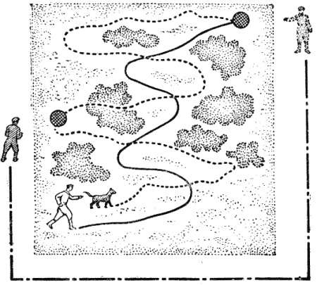 Служебная собака. Руководство по подготовке специалистов служебного собаководства - i_150.png