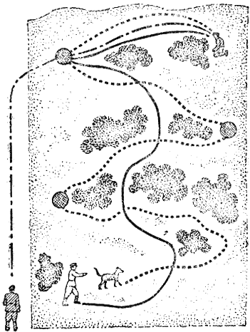 Служебная собака. Руководство по подготовке специалистов служебного собаководства - i_151.png