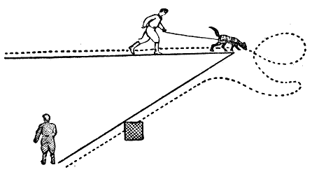 Служебная собака. Руководство по подготовке специалистов служебного собаководства - i_158.png