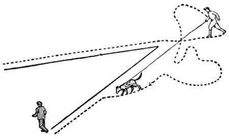 Служебная собака. Руководство по подготовке специалистов служебного собаководства - i_159.png