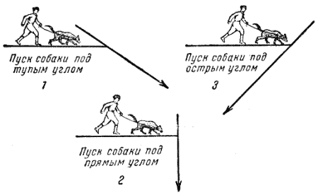 Служебная собака. Руководство по подготовке специалистов служебного собаководства - i_160.png