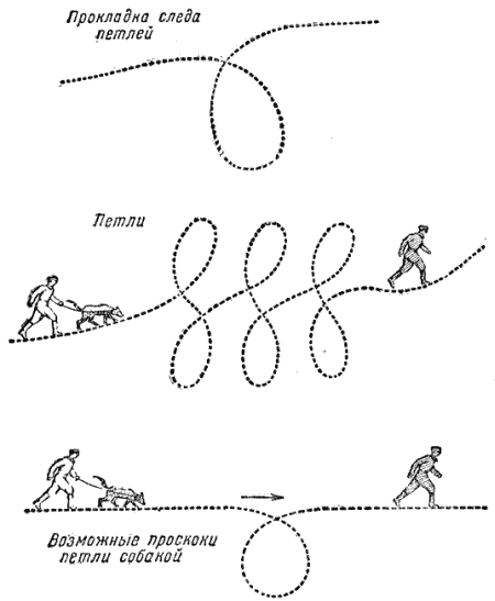 Служебная собака. Руководство по подготовке специалистов служебного собаководства - i_162.png
