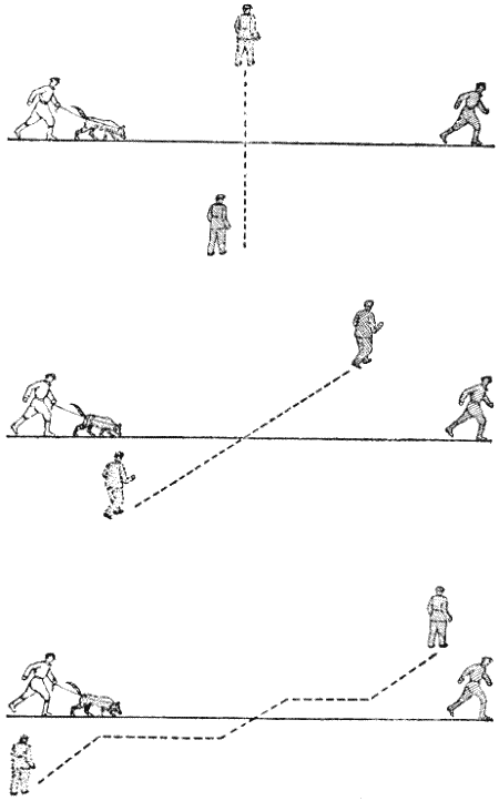 Служебная собака. Руководство по подготовке специалистов служебного собаководства - i_165.png