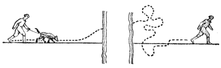 Служебная собака. Руководство по подготовке специалистов служебного собаководства - i_168.png