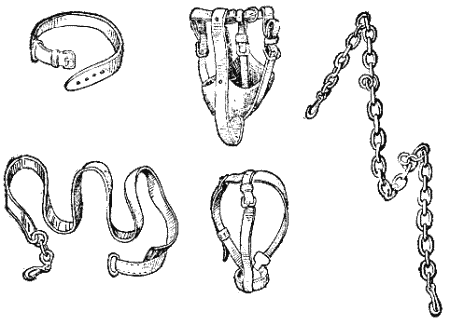 Служебная собака. Руководство по подготовке специалистов служебного собаководства - i_188.png