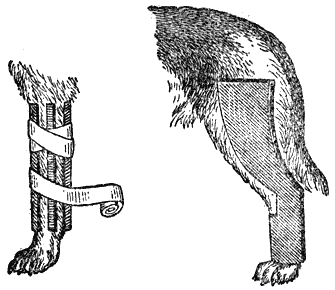 Служебная собака. Руководство по подготовке специалистов служебного собаководства - i_226.png