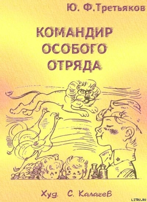 Книга Командир особого отряда. Повести и рассказы