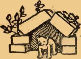 Игры на полу - img_14.jpg