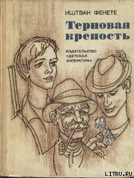 Книга Терновая крепость