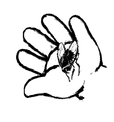 Взгляд кролика - i_016.png