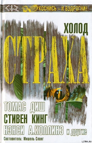 Книга Холод страха