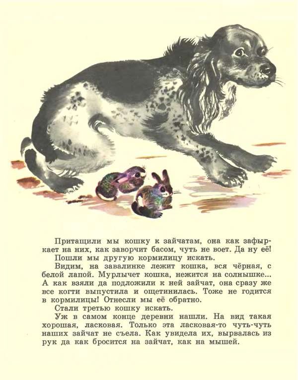 Про зайчат - i_008.jpg
