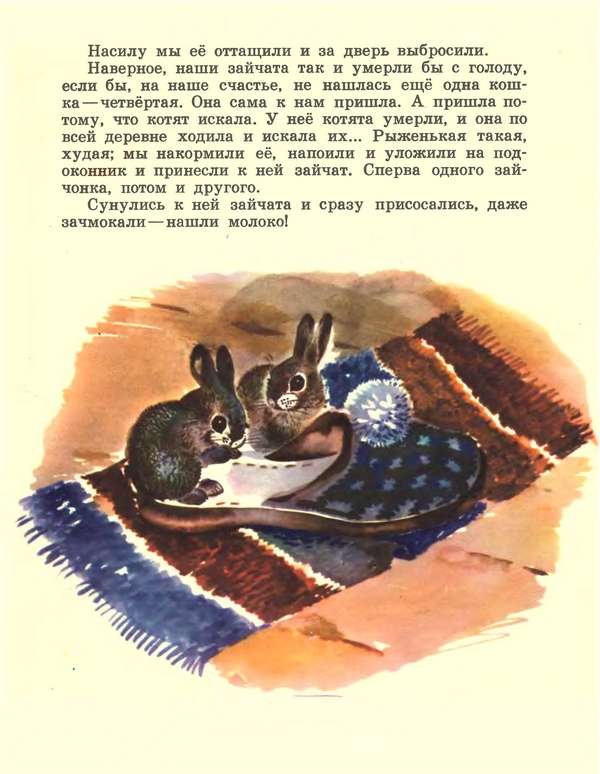 Про зайчат - i_009.jpg