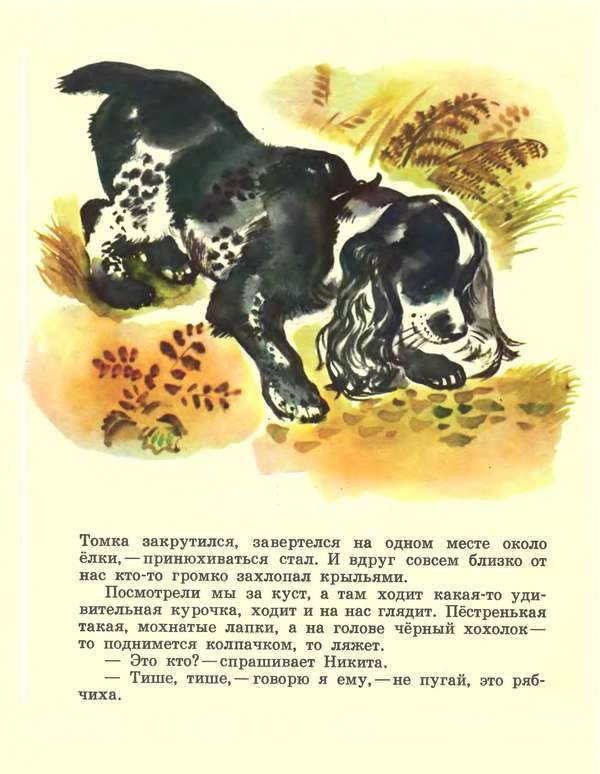Про зайчат - i_012.jpg