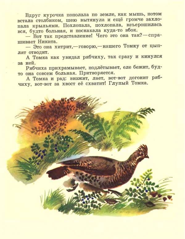 Про зайчат - i_013.jpg