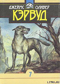 Книга Быстрая Молния