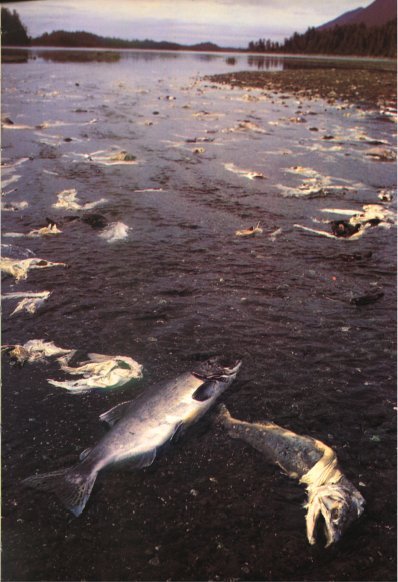 Жизнь на Земле. Естественная история - i_059.jpg