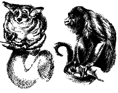 Жизнь на Земле. Естественная история - i_121.png