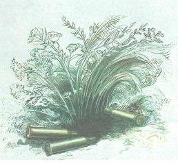 Баллада о танке - _7.JPG