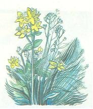 Баллада о танке - _8.JPG