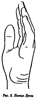 Полный курс хиромантии - i_008.png