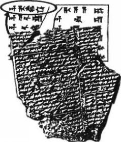 Космический код. Генная инженерия богов - pic_68.jpg