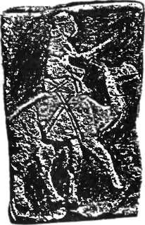 Космический код. Генная инженерия богов - pic_69.jpg