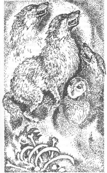 Наследник - i_009.jpg