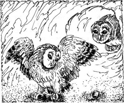 Наследник - i_030.jpg