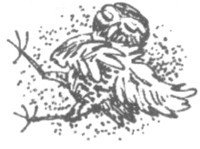 Изгнанник - i_035.jpg