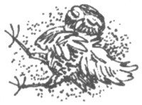 Изгнанник - i_051.jpg