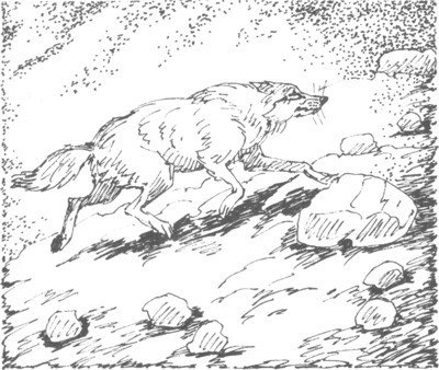 Изгнанник - i_054.jpg